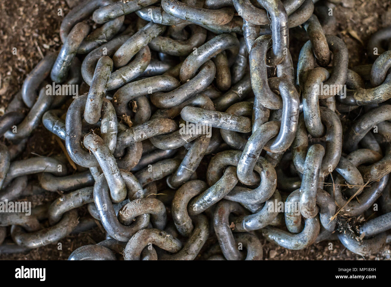 Heavy chain links Stock Photo Alamy