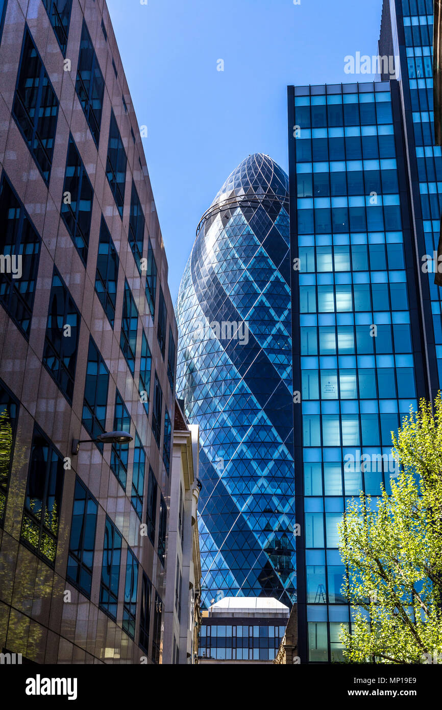The gherkin (30 St Mary Axe) surrounded by modern glass buildings in the City of London, view from Mitre Street, UK Stock Photo