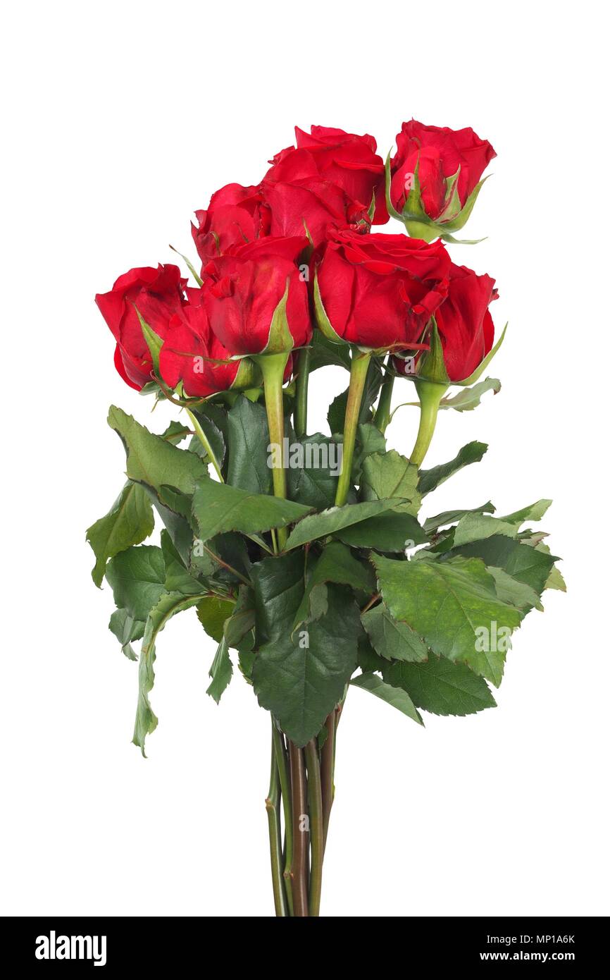 Bouquet of red roses isolated on white background Stock Photo - Alamy
