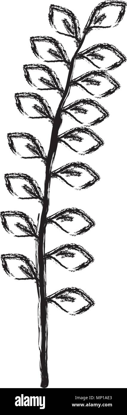 branch with leafs decorative icon Stock Vector Image & Art - Alamy