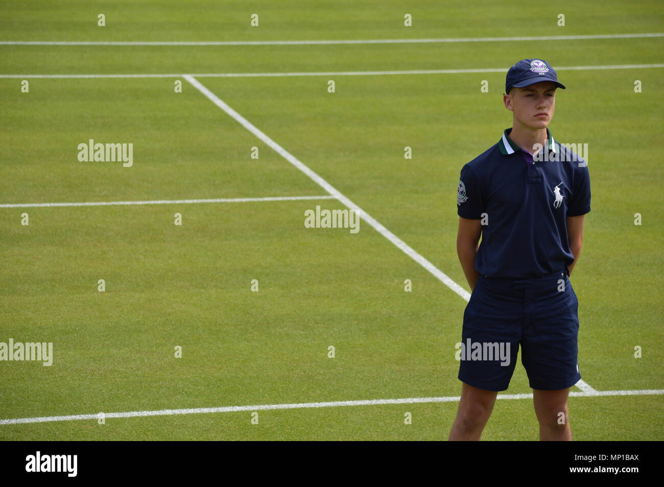 Tennis ball boy wimbledon hires stock photography and images Alamy
