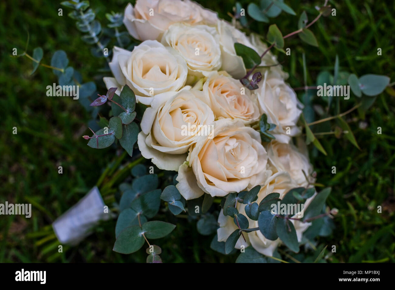 stunning delicate roses pastel colours white cream pink rose petals fresh bouquet arrangement bride vintage Stock Photo