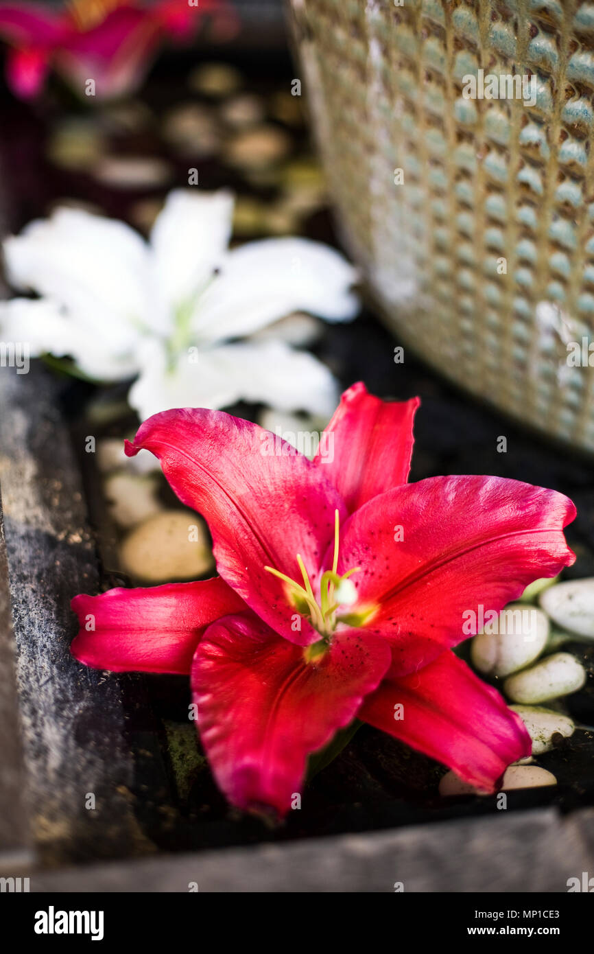 decorations for wedding ceremonies table flowers decorations lily Stock