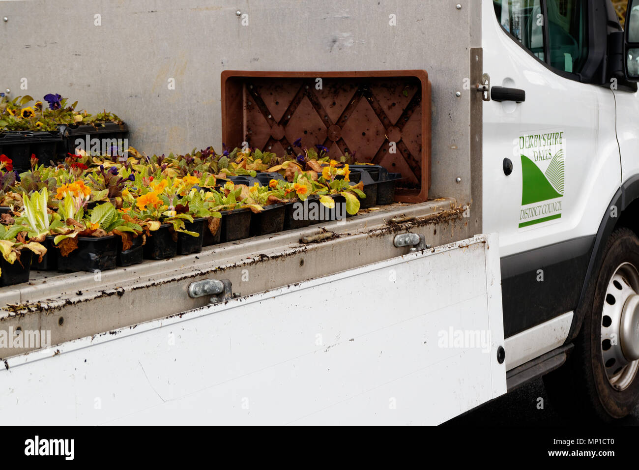A Derbyshire Dales van with flowers ready to be planted in the spring Stock Photo