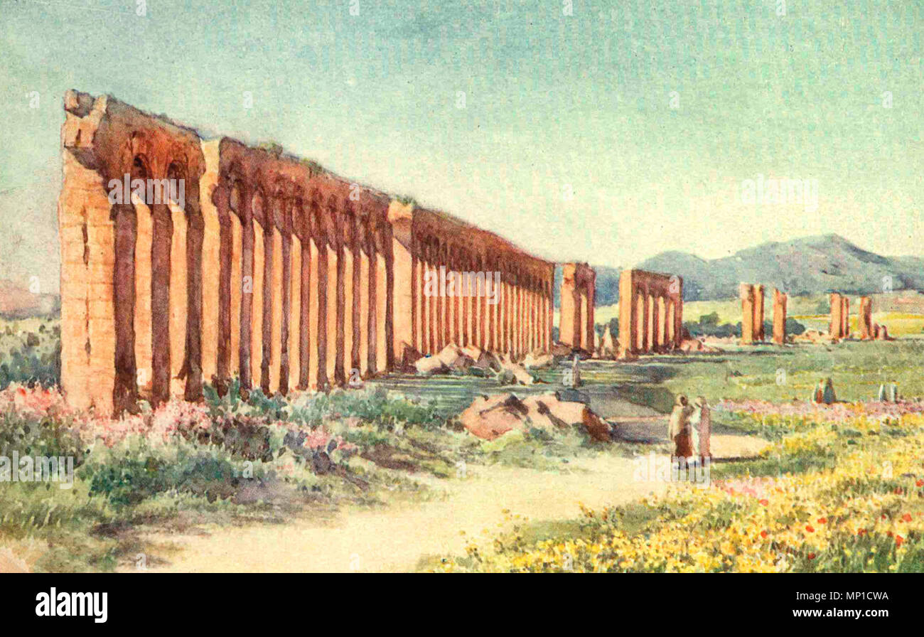 The Carthage Aqueduct, Tunisia, circa 1906 Stock Photo