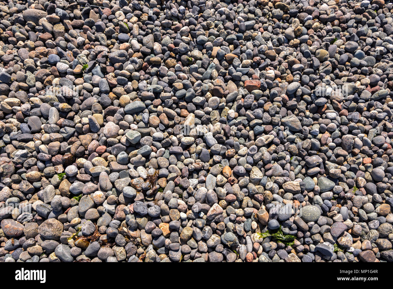 Small Rocks Pebbles Image & Photo (Free Trial)