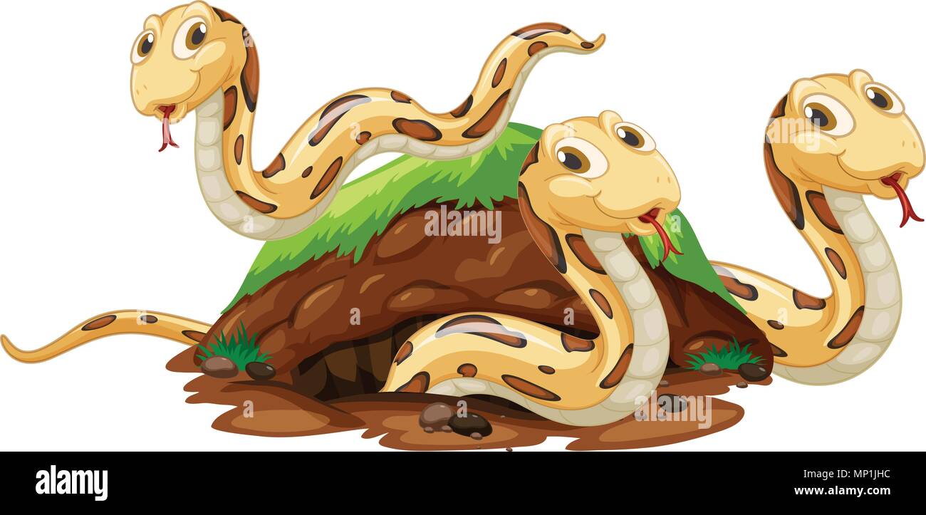 Snake Family Living Underground Hole illustration Stock Vector Image & Art  - Alamy