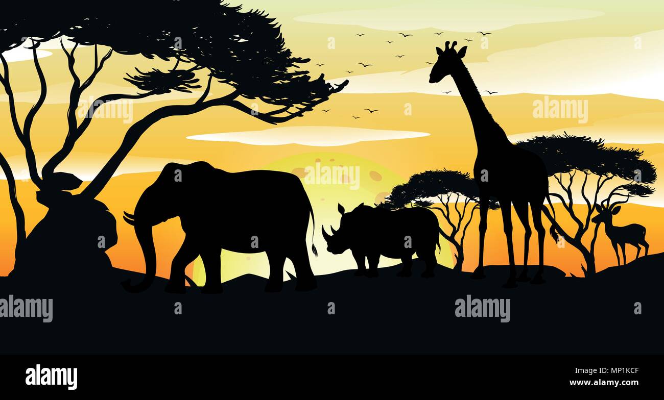 African Savannah Silhouette Sunset Scene illustration Stock Vector ...