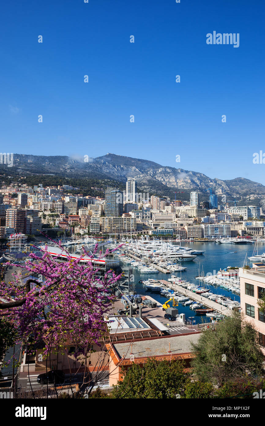 Spring in Monaco principality, cityscape with Monte Carlo and Port Hercule Stock Photo