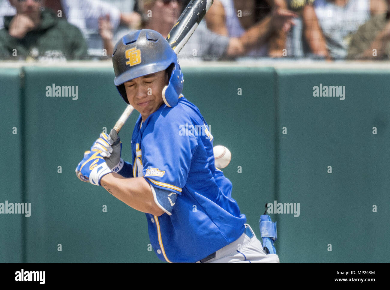 San Luis Obispo, California, USA. 20th May, 2018. UCSB second basemen ANDREW MARTINEZ gets hit by a pitch in the first inning by Cal Poly's right handed pitcher MICHAEL CLARK. Cal Poly would go on to win the game 9-3. Credit: Erick Madrid/ZUMA Wire/Alamy Live News Stock Photo