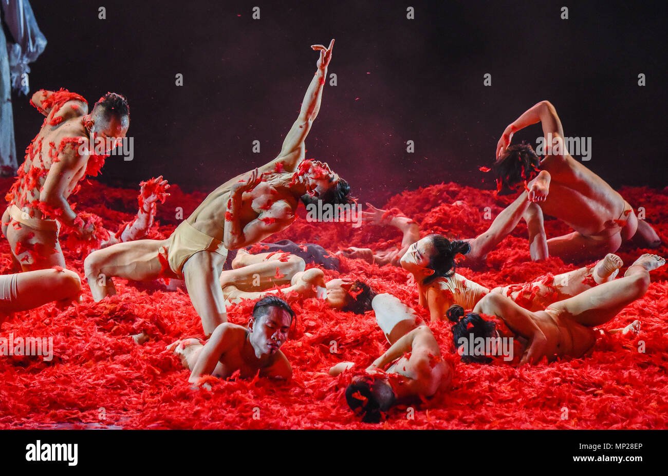 May 18, 2018 - Nanning, Nanning, China - Nanning, CHINA-18th May 2018: Dancers perform 'House of Flying Daggers' choreographed by Yang Liping in Nanning, southwest China's Guangxi, May 18th, 2018. Yang Liping is the director, choreographer and star of a performance art show called ''Dynamic Yunnan'' that has drawn sellout crowds all over China. She toured Europe and the United States in 2005. Between 2004 and 2008, Yang Liping directed and choreographed a trilogy: ''Dynamic Yunnan'', ''Echoes of Shangri-la'' and ''Tibetan Myth''. In 2004, ''Dynamic Yunnan'' won five major awards at the Nationa Stock Photo