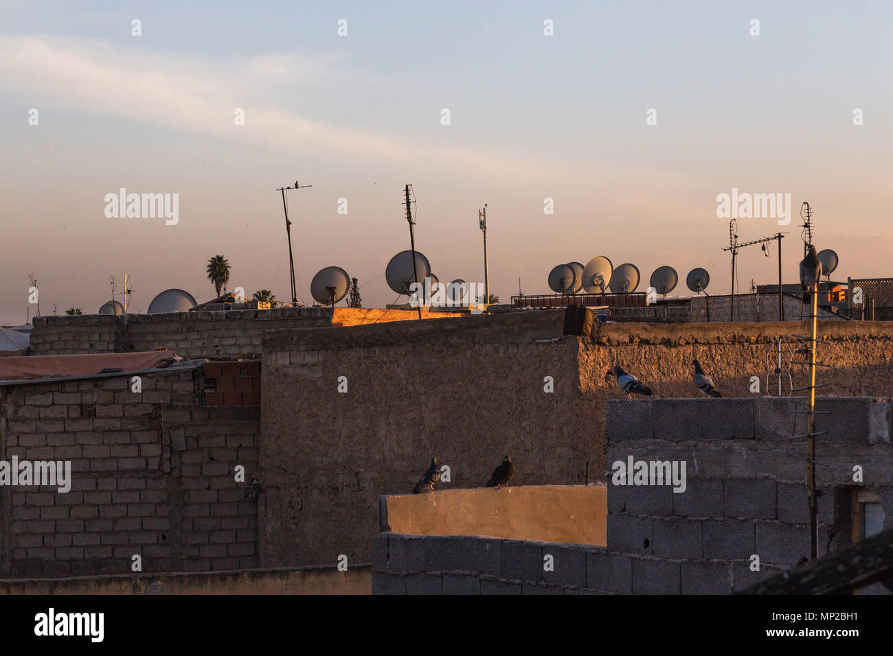 Morocco marrakech roof house hires stock photography and images Alamy
