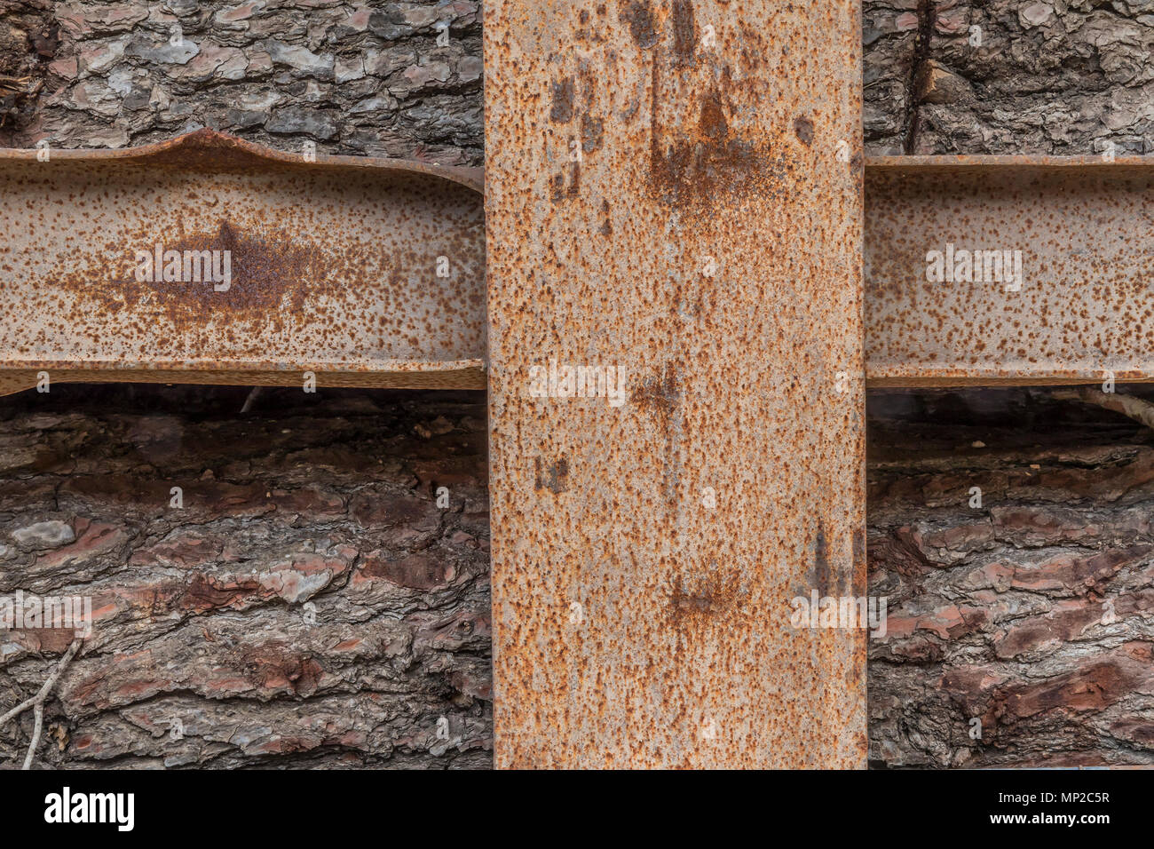 Logs of pine wood stored in a rusty metal container Stock Photo Alamy