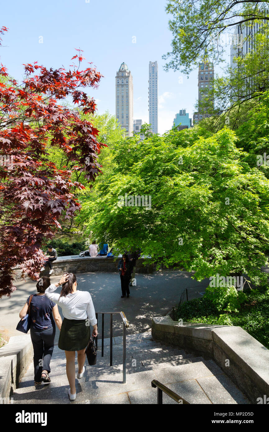 Central Park New York people walking in spring, Central Park, New