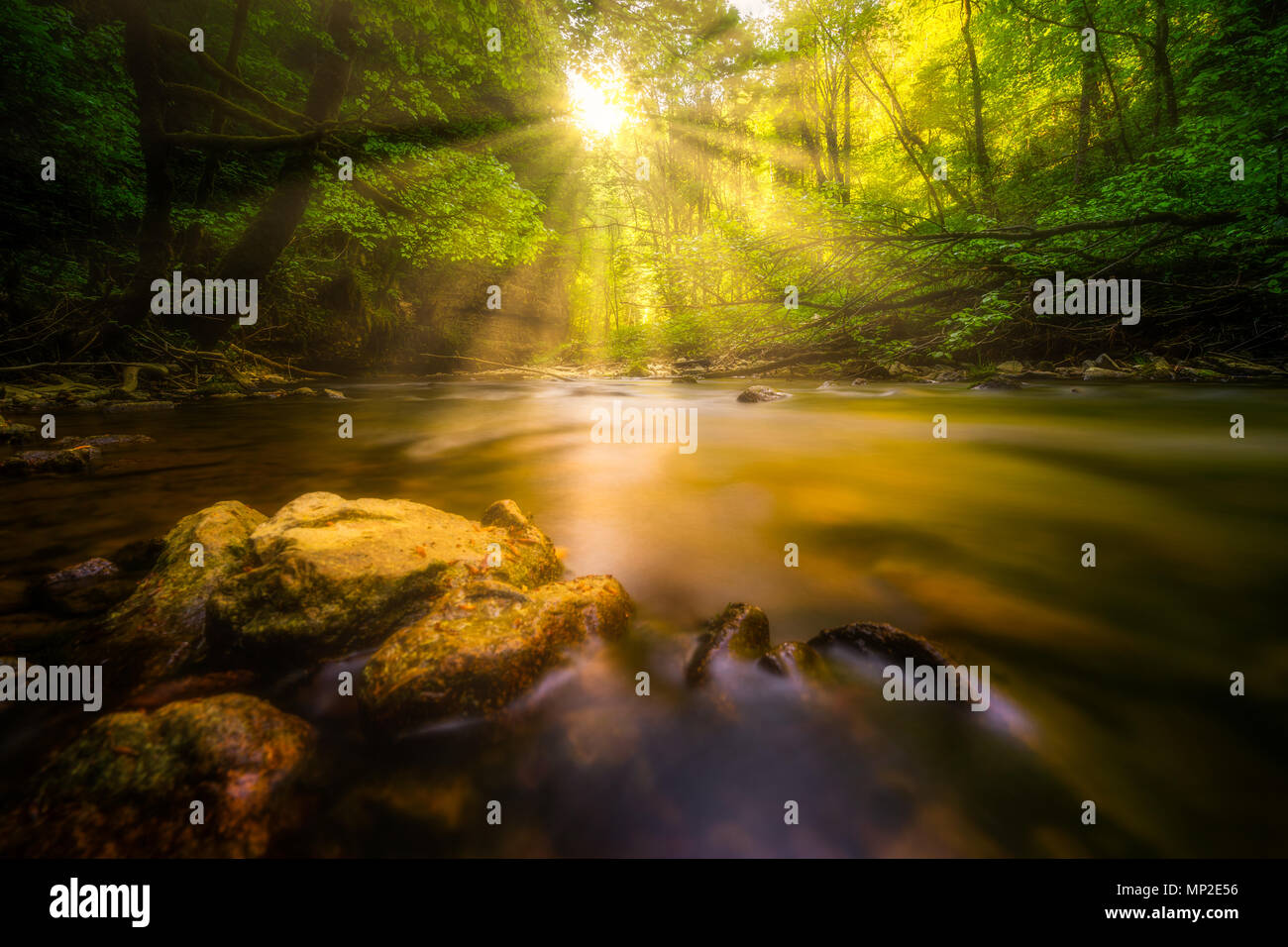 Long exposure in the Wutachschlucht with sunbeams and a very warm mood Stock Photo