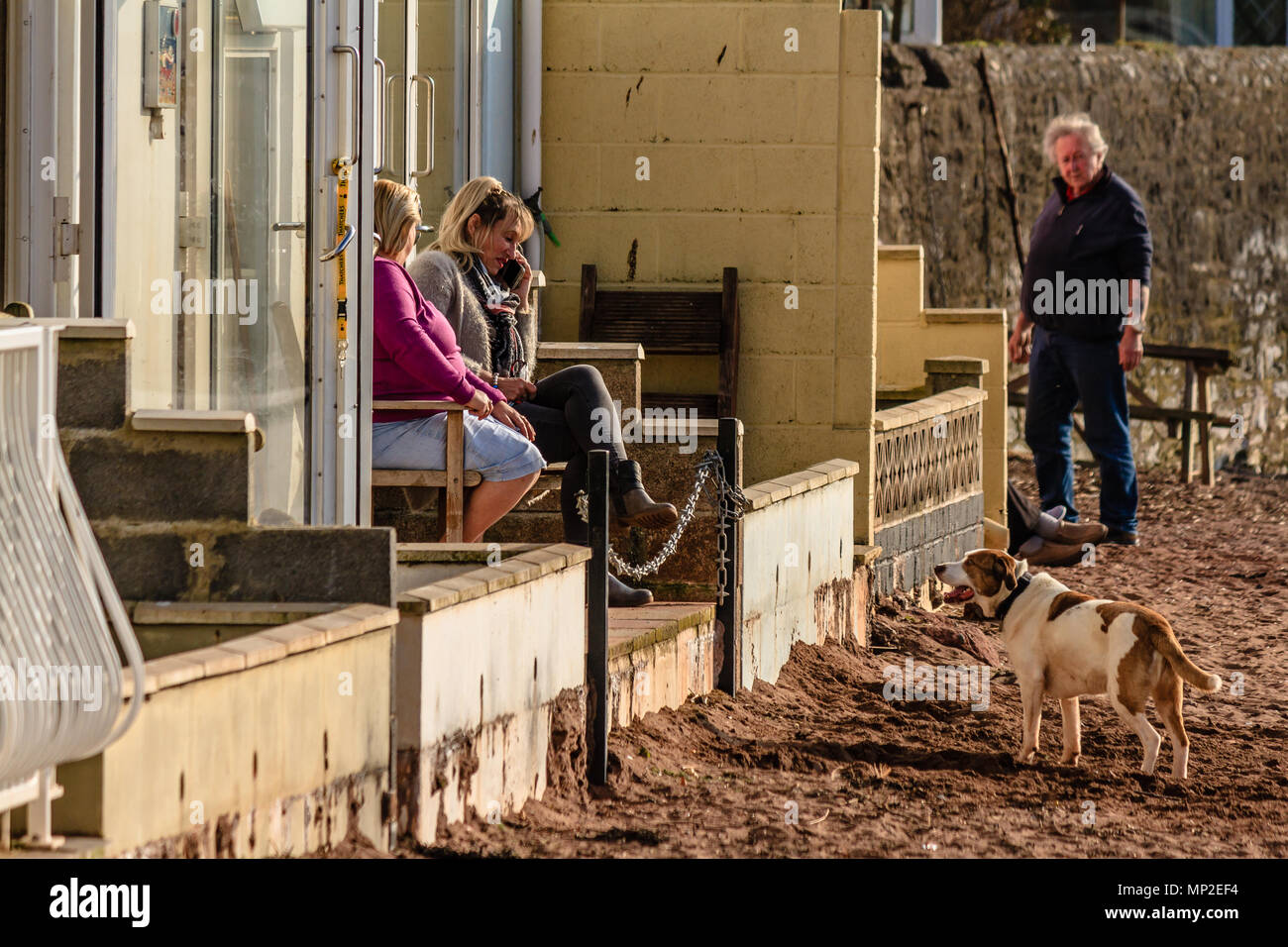 People sat outside beach huts including a woman on a phone, with a dog looking at them. Teignmouth, Devon. Feb 2018. Stock Photo