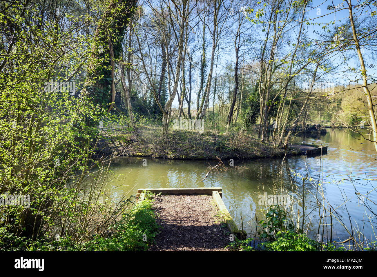 Fishing platform over water pond in British park at early spring ...