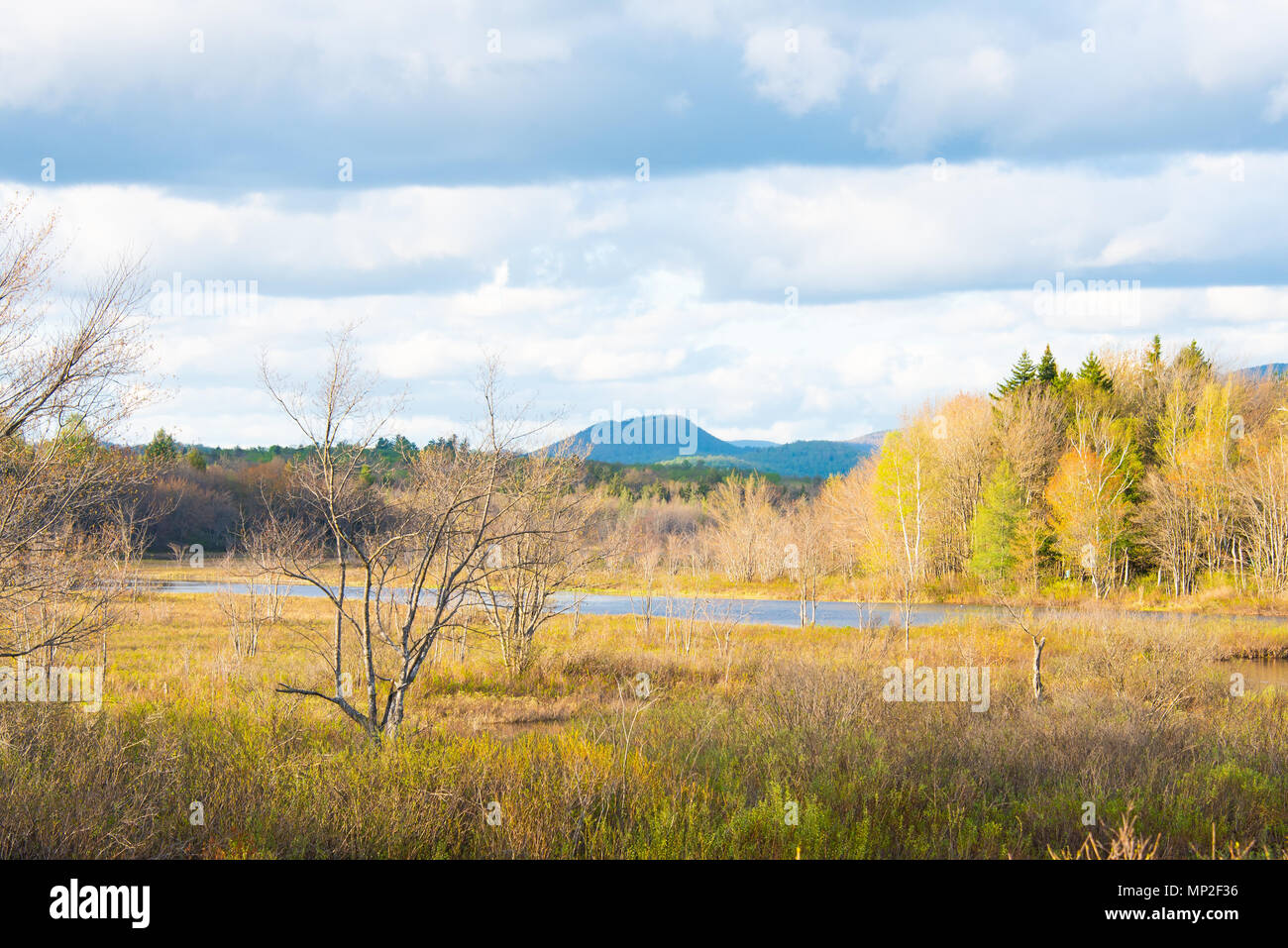 A late evening view in early spring of the Sacandaga River Valley in Speculator, NY USA in the Adirondack Park. Stock Photo
