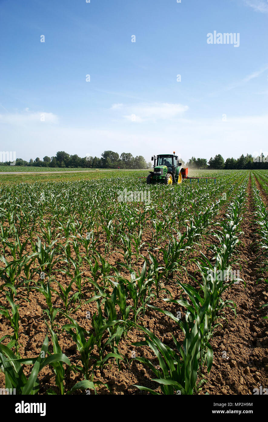 Urea Farm High Resolution Stock Photography And Images Alamy