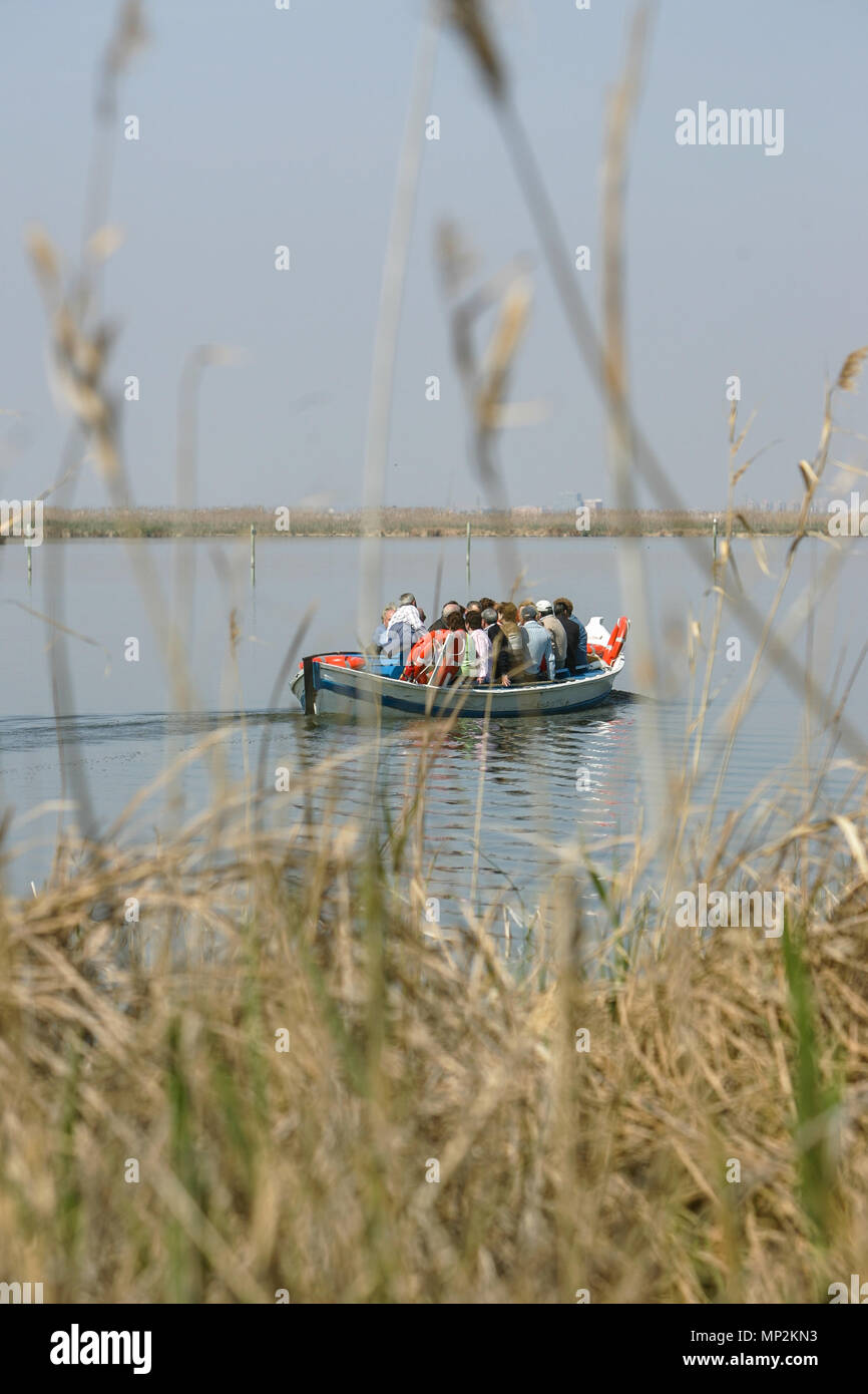 the boatman sails with visitors in the Albufera natural park in Valencia Stock Photo