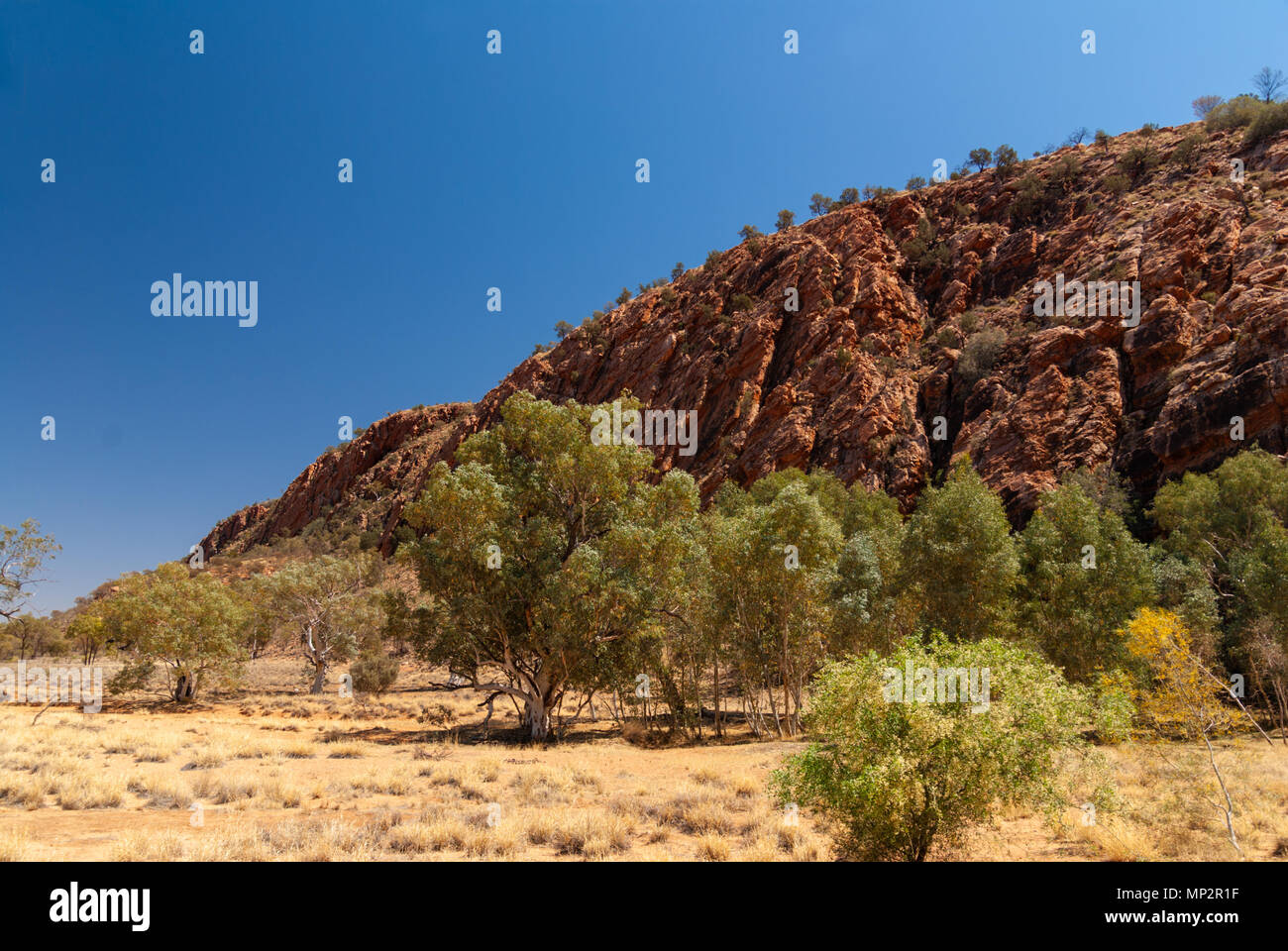 Emily Gap Nature Park in East MacDonnell Ranges near Alice Springs, Northern Territories