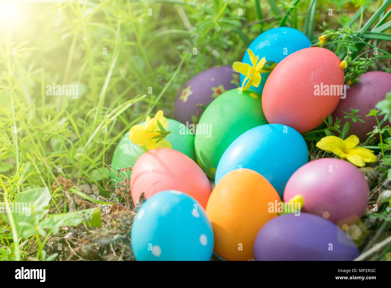 easter day egg hunt