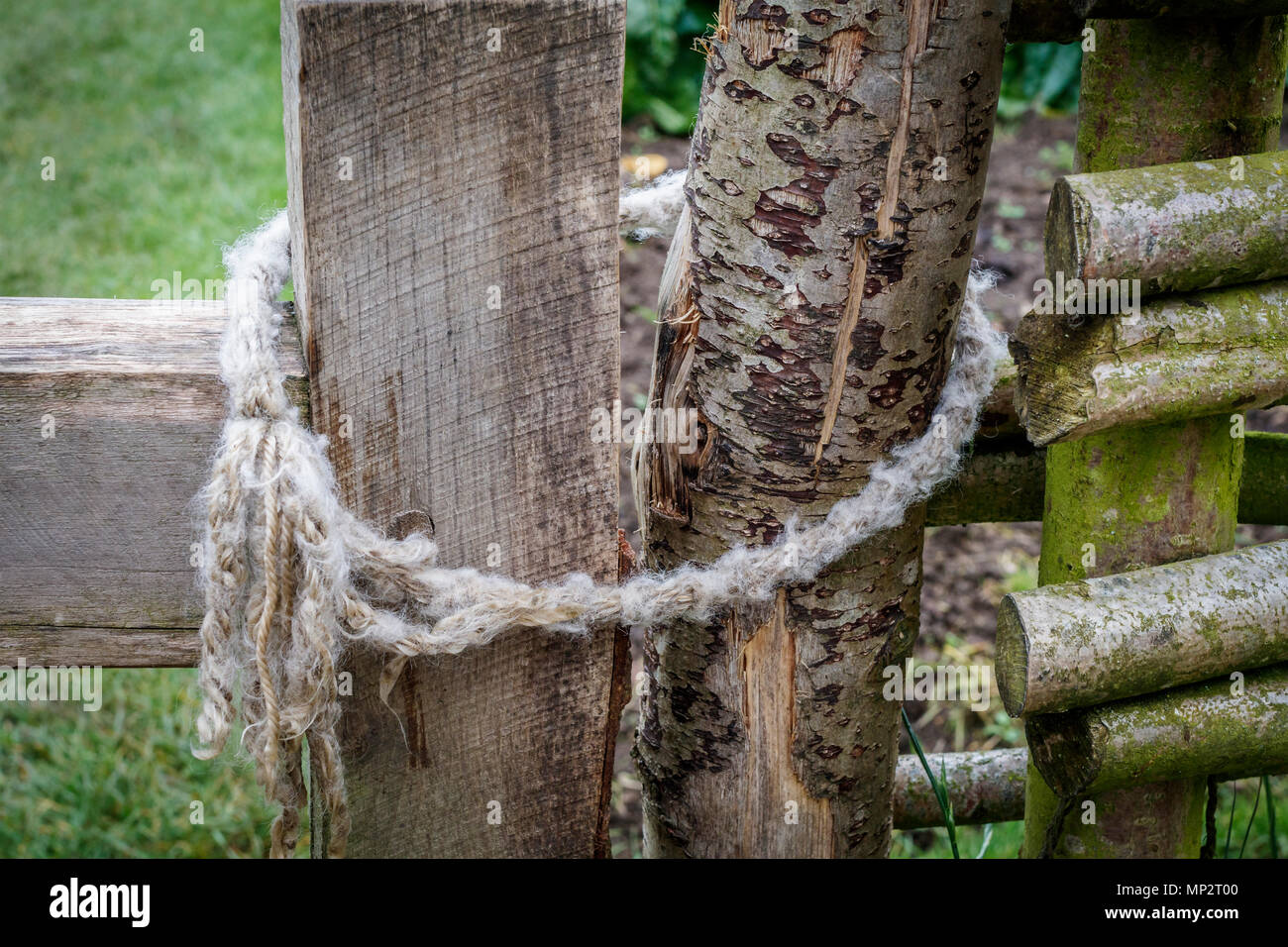 Rudimentary rope gate clasp, around gatepost and gate. Yorkshire, UK. Stock Photo