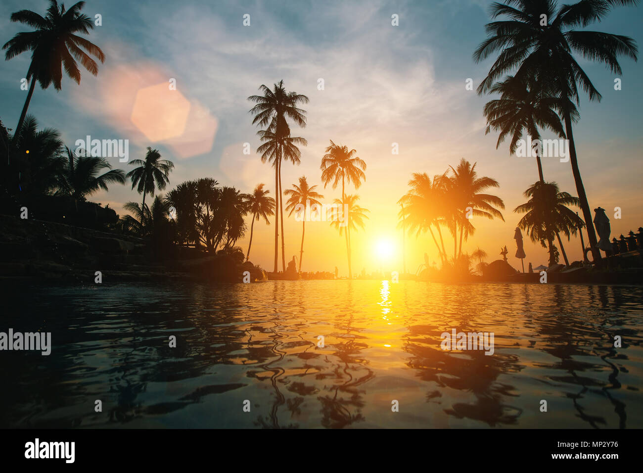 Amazing sunset on tropical beach with silhouettes of palm trees Stock ...