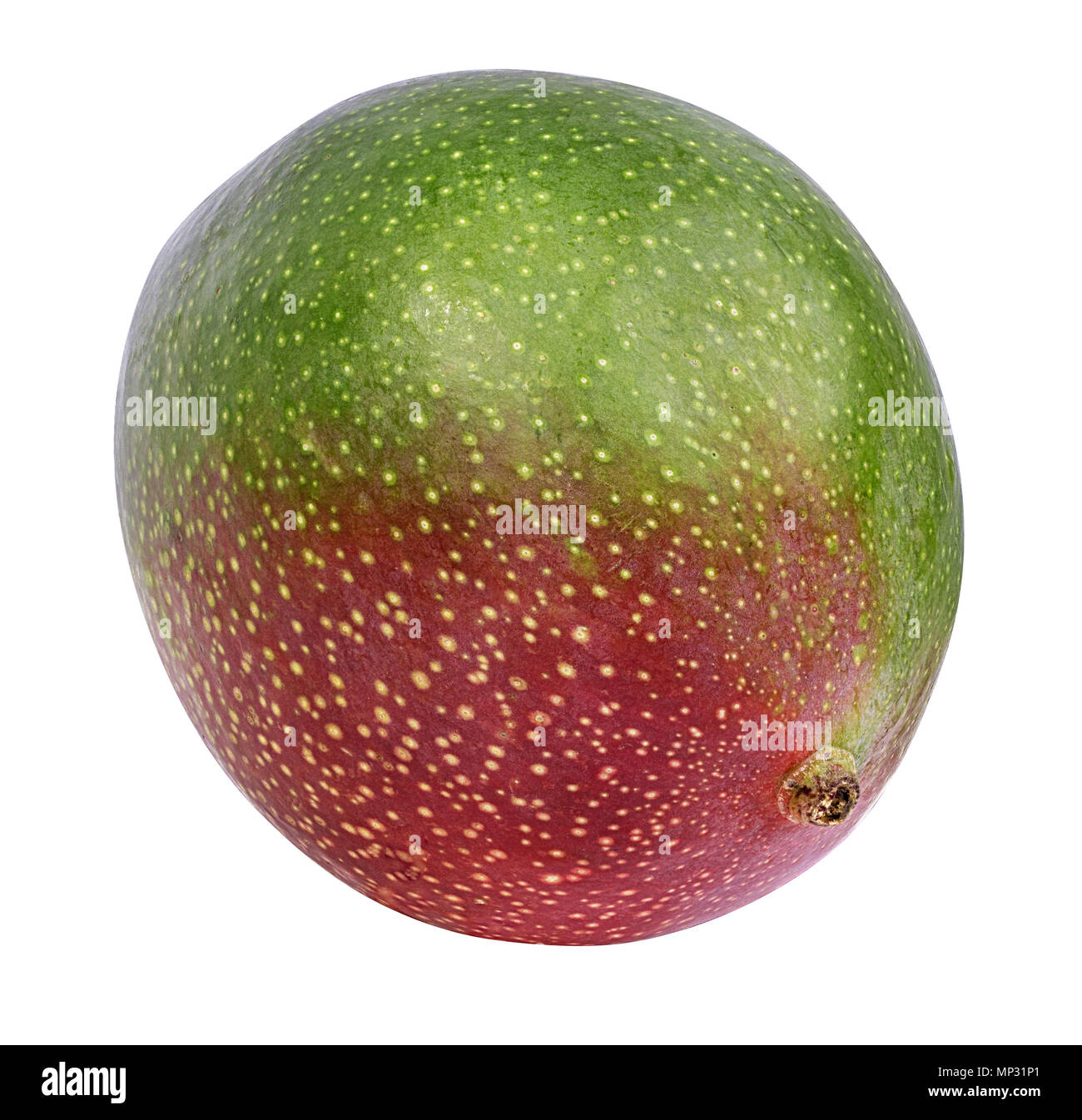 mango fruit isolated on white background Stock Photo - Alamy