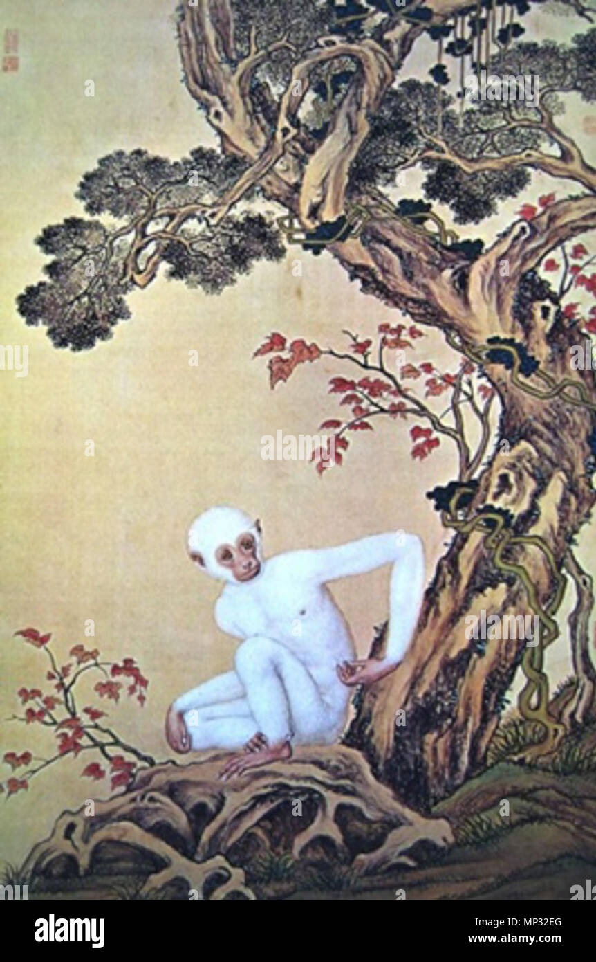English: White Ape, painted by Giuseppe Castiglione 中文: 郎世宁画 