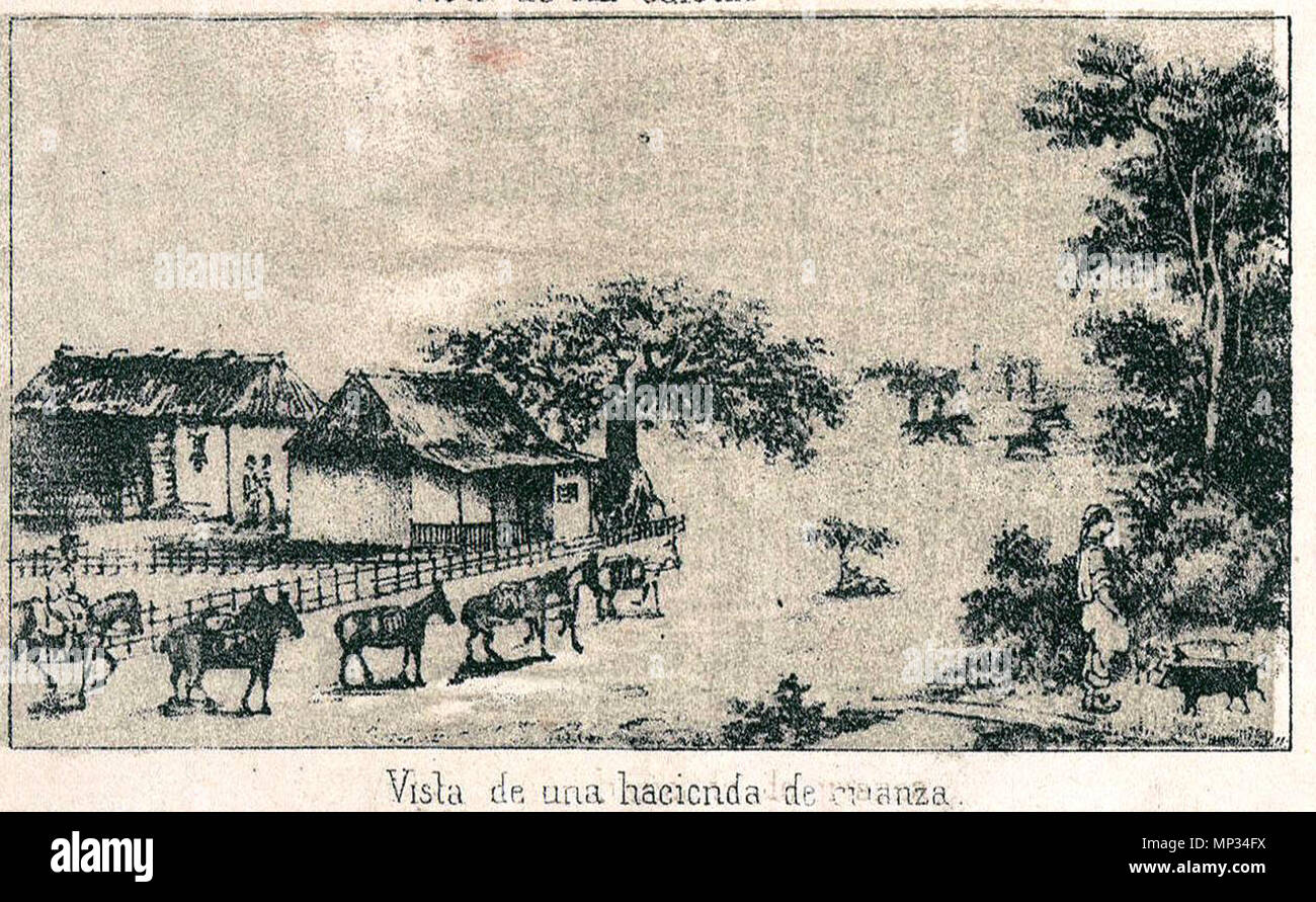 . Español: Vista de una hacienda de crianza, escena costumbrista. Fragmento del Mapa Historico Pintoresco Moderno de la Isla de Cuba : Dedicado al Sr. D. Nicolas Peñalver y Peñalver. 19 April 2010, 12:44:41. José Maria de la Torre, autor de la obra titulada 'Habana antigua y moderna' 1200 Torrre 1848 Crianza Stock Photo