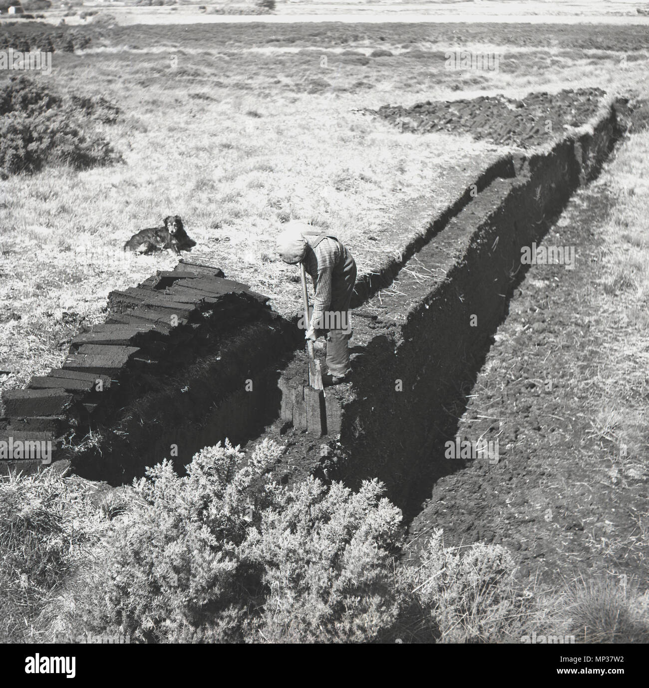 Peat cutting historical hi-res stock photography and images - Alamy