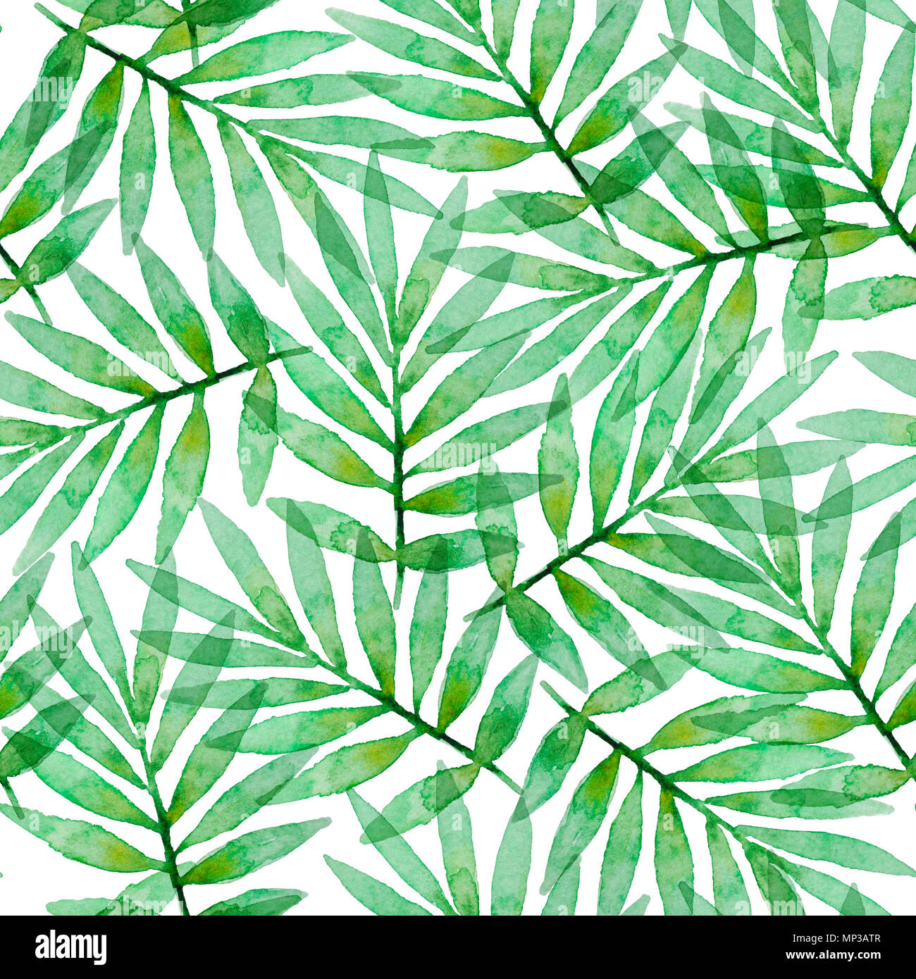 Tropical watercolor seamless pattern with green palm leaves on a white ...