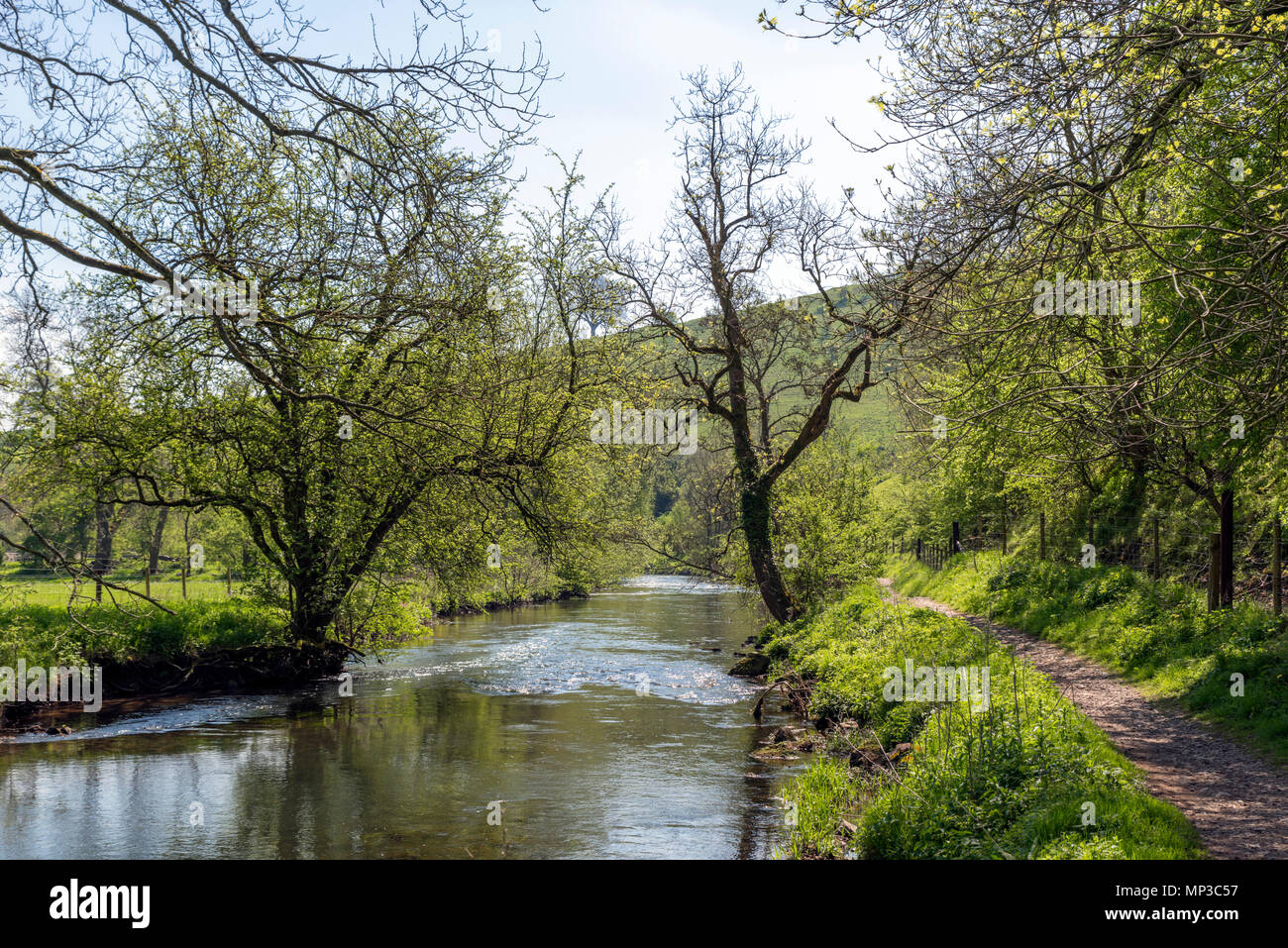 Public footpath alongside the River Wye near Ashford-in-the-Water, Peak District, Derbyshire, England, UK Stock Photo