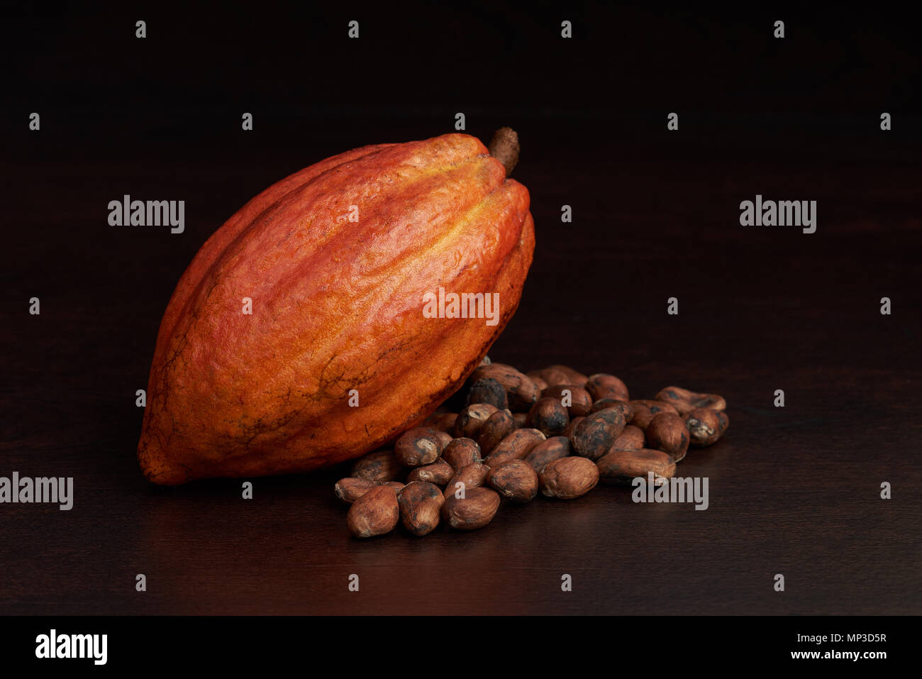 Cacao fruit pod theme. Orange color frsh cocoa fruit Stock Photo