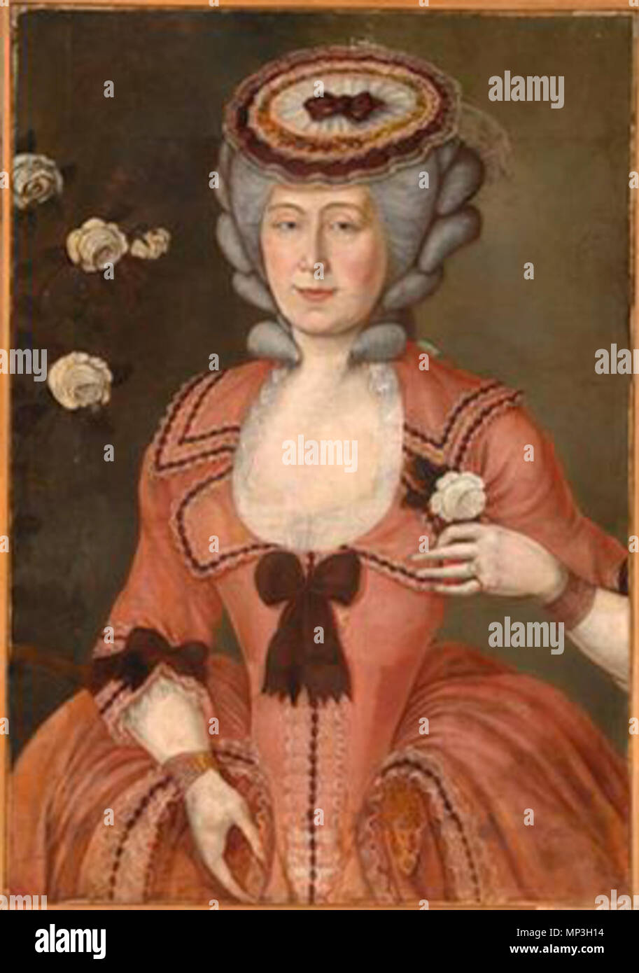 N 8570 009 Slovenščina: Plemkinja v rokokojski obleki second half of 18th  century. 1010 Plemkinja v rokokojski obleki (2. pol. 18. st Stock Photo -  Alamy