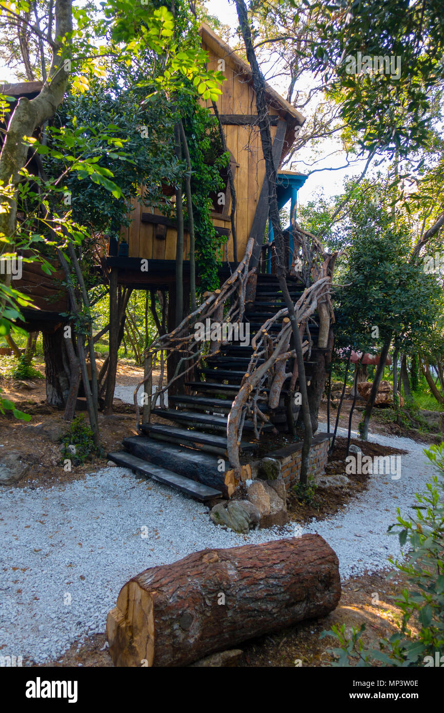 Fantasy tree house for children, playing outdoors in the garden, backyard, hobbit  hole, fantasy house on trees Stock Photo - Alamy