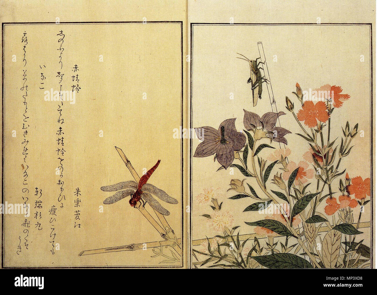 . English: UTAMARO Kitagawa: illustrated book of insects, c. 1788, 17x28 cm . 1788. Utamaro Kitagawa (1753-1806) 1217 UTAMARO-Insects Stock Photo