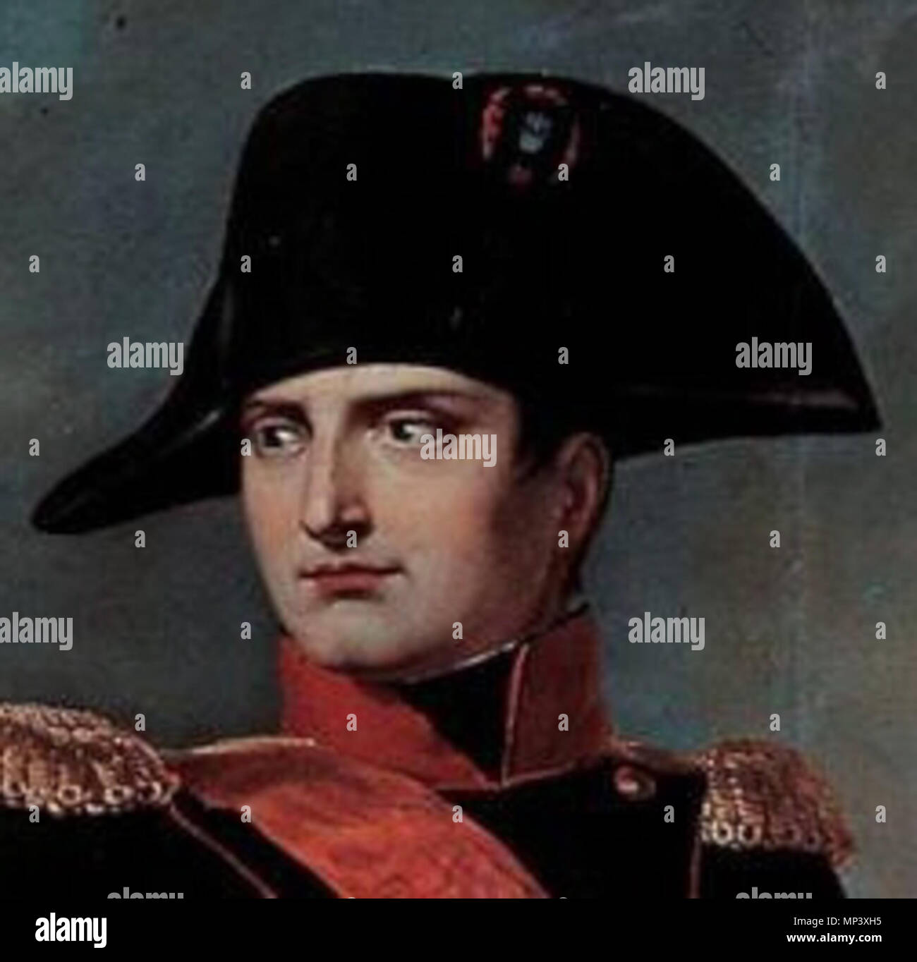 .  English: Napoleon Bonaparte Italiano: Napoleone sul campo di battaglia di Wagram (particolare) . 1809.   918 Napoleone a Wagram (particolare) Stock Photo