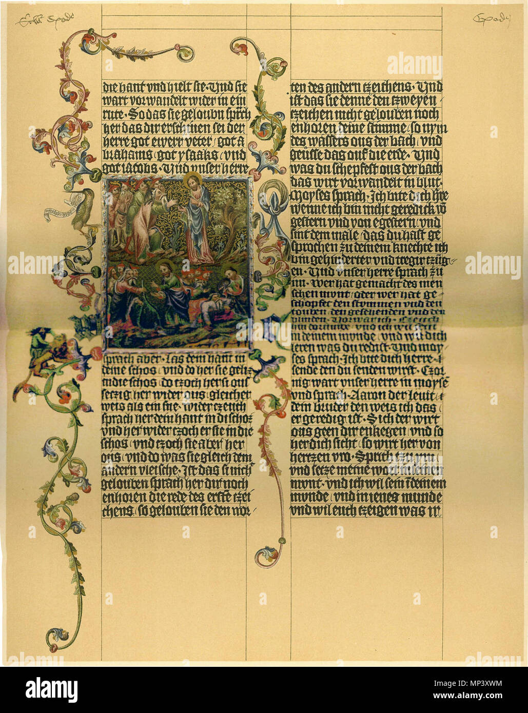 . A page from the Wenzel Bible From the caption: Printed by the Bibliographisches Institut, Leipzig. A PAGE FROM THE 'WENZEL BIBLE'. From the Manuscript (c. 1400) in the Imperial Library at Vienna. The passage is described there as being from the Book of Moses, ch. IV., v.4–15 (=Exodus 4:4-15). 1902. 'From a colour print by M.B. Cotsworth, Holgate, York' 952 Page from the Wenzel Bible Stock Photo