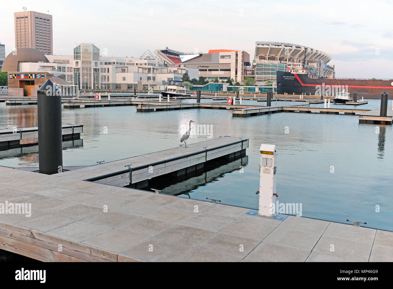 A wild blue heron stands on an empty boat slip in Cleveland harbor with a partial view of the downtown Cleveland skyline in the background. Stock Photo