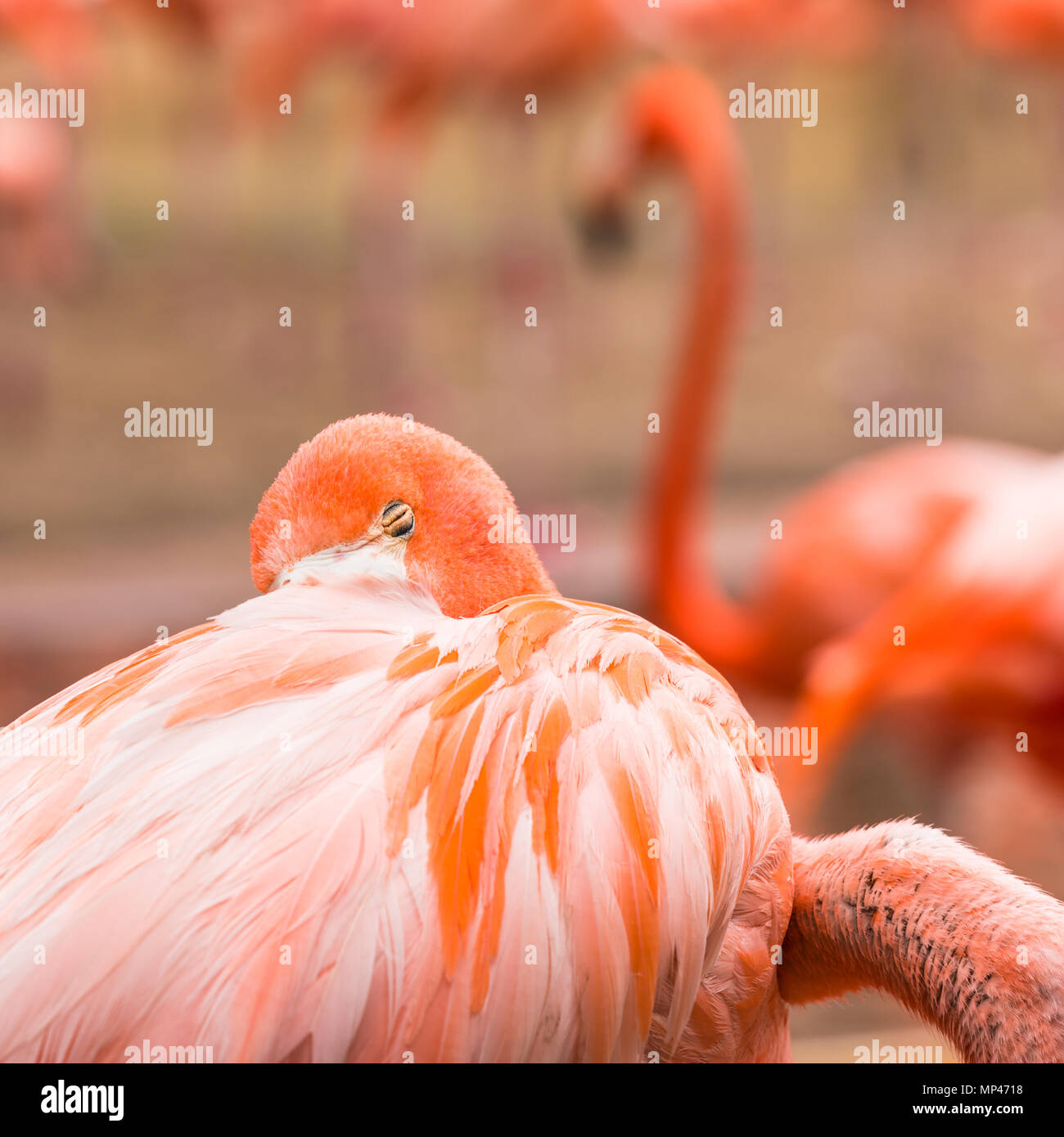 My Image 30
