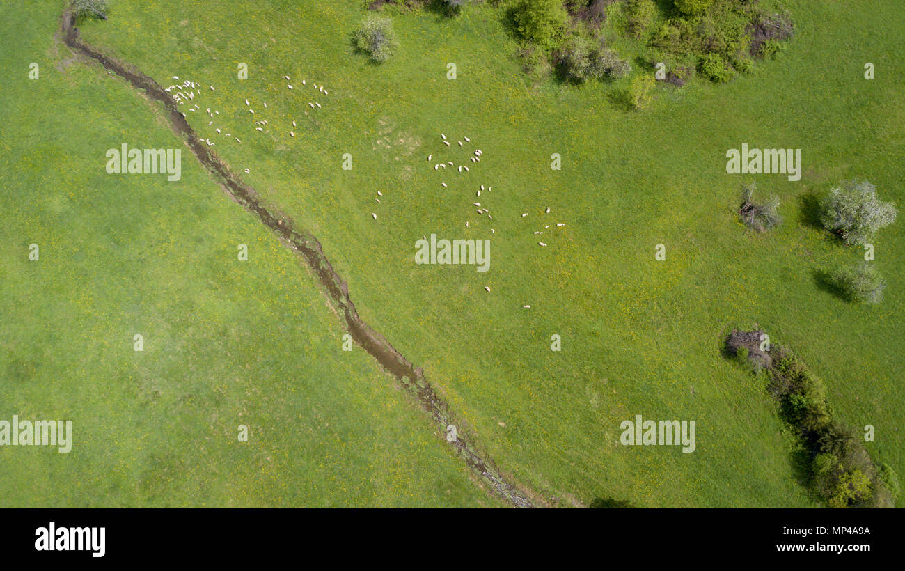 Lime Kiln Farm, 1512, 523 Lime Kiln Rd, West Coxsackie, Greene County