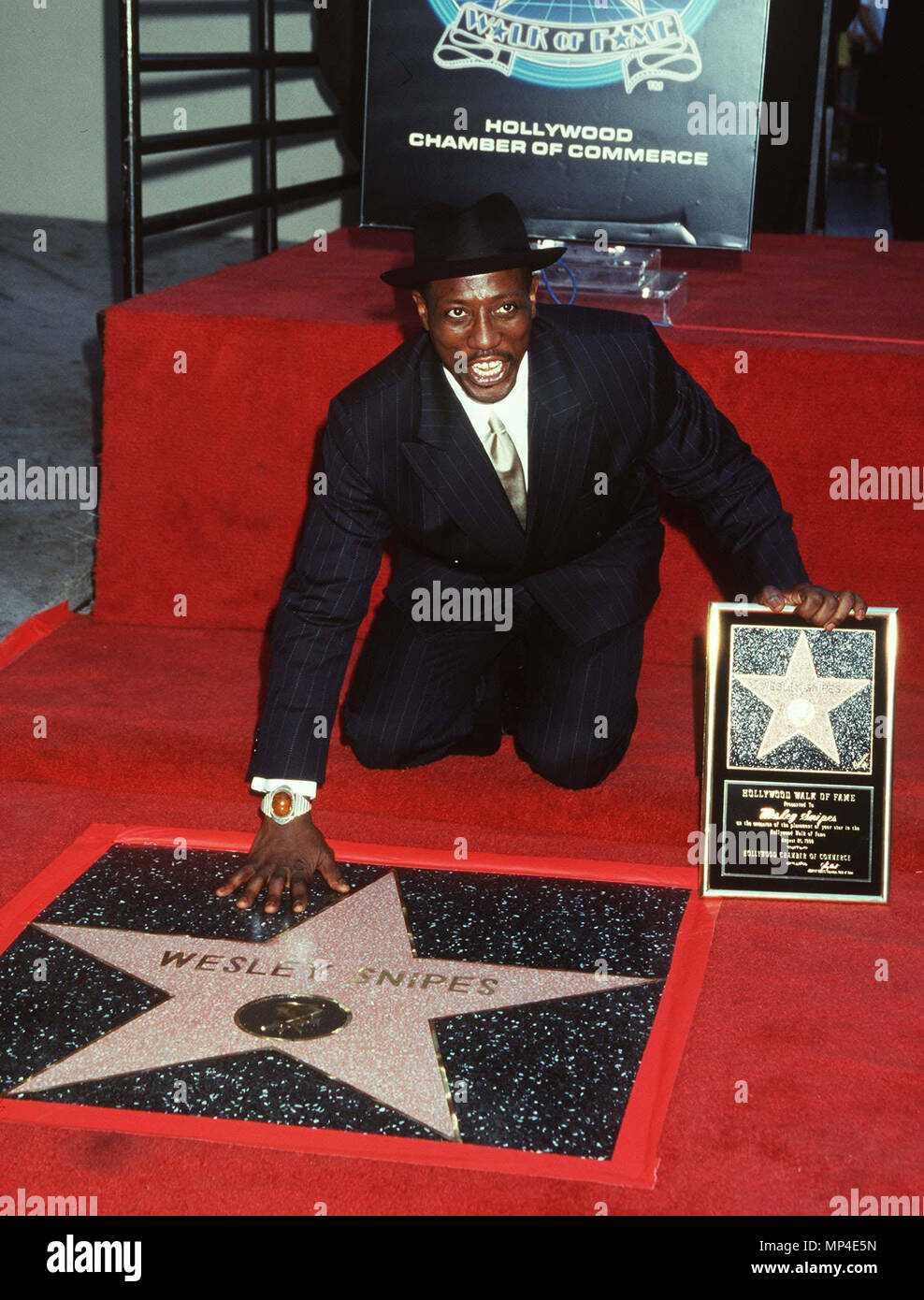 Celebrities wesley snipes hires stock photography and images Alamy(00)