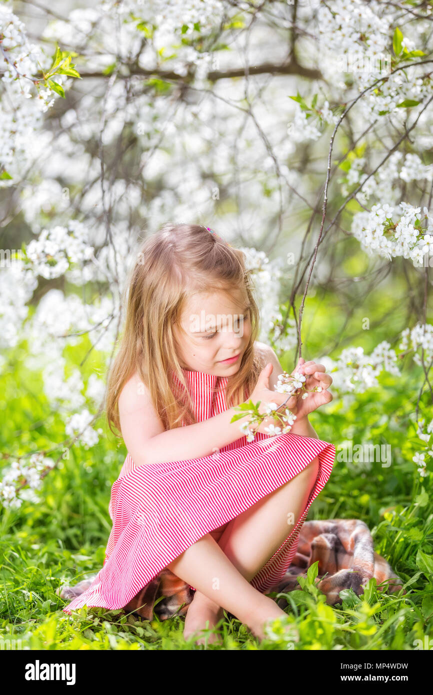 Girl cherry blossom hires stock photography and images Alamy