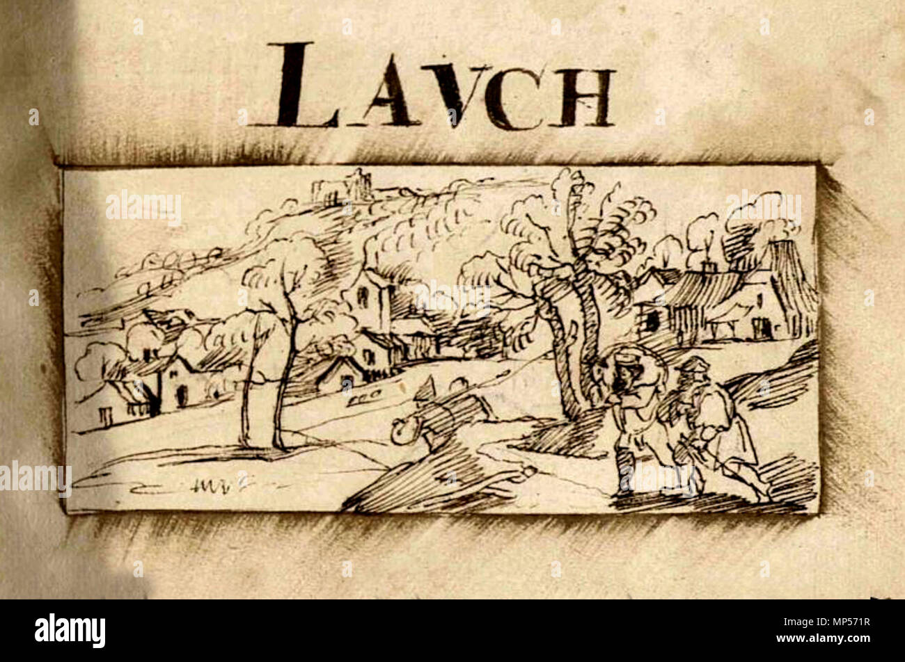 793 Lauch by Jean Bertels 1597 Stock Photo