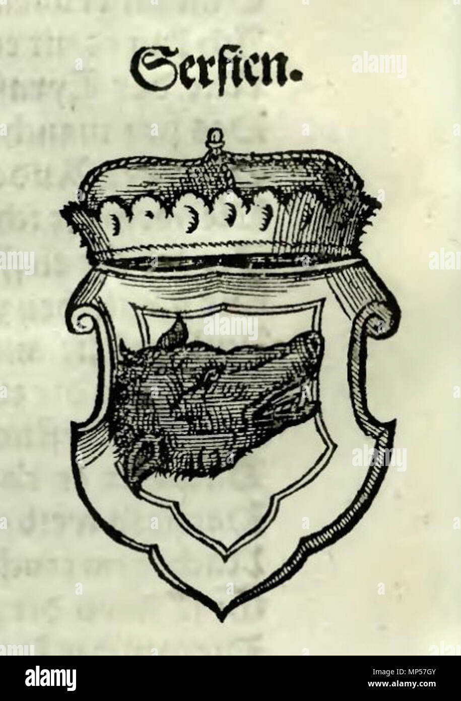 . English: Coat of arms of Serbia, by Martin Schrott (ca. 1580) . circa 1580. Martin Schrott 1112 Servien, Martin Schrott, ca. 1580 Stock Photo