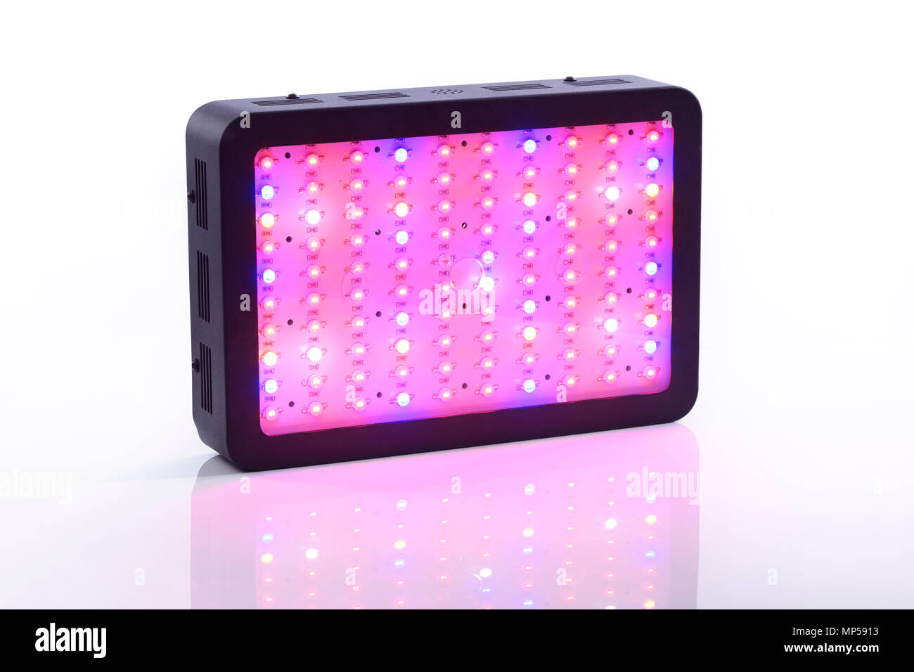 Full-spectrum LED grow light for indoor plant vegetative and flowering growth emitting red, blue, UV and IR spectrum Stock Photo