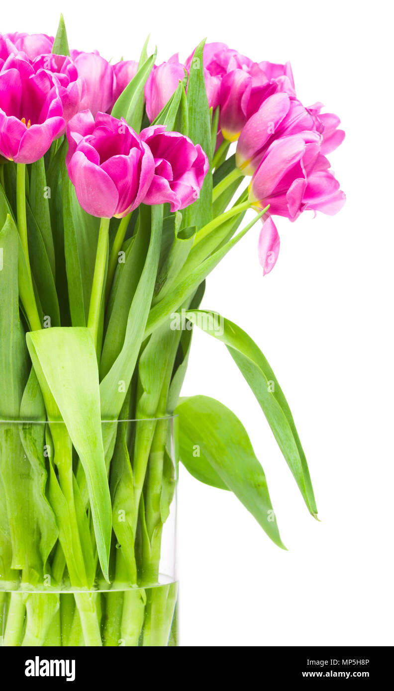 Bouquet of tulips flowers in the glass vase isolated on white ...
