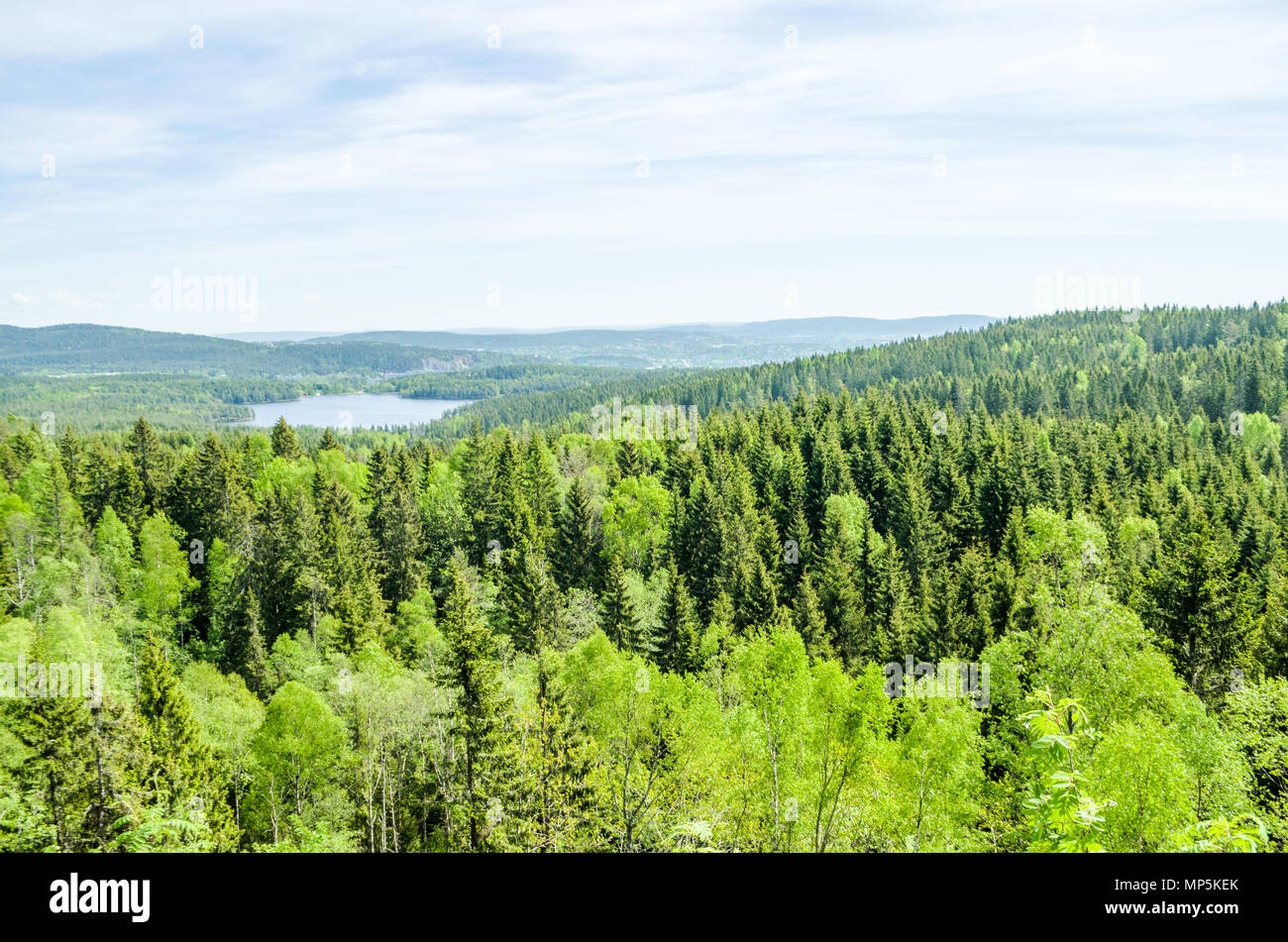 Long range view form Storhaug viewpoint in Oslo city forest. Stock Photo